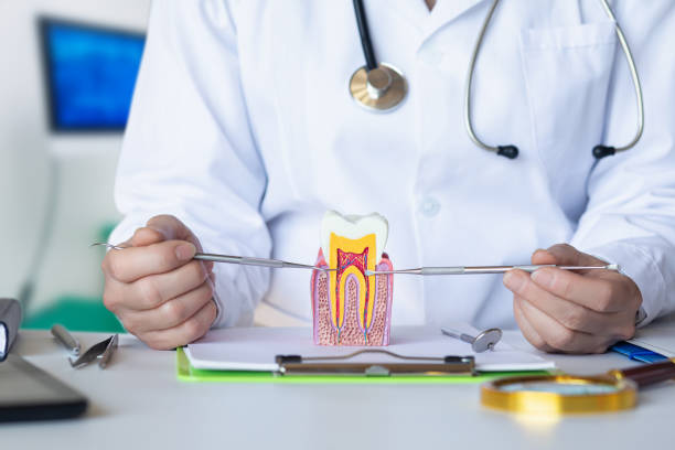 Best Emergency Denture Repair in Water Mill, NY
